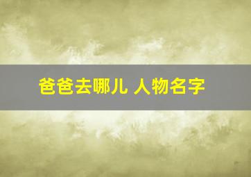 爸爸去哪儿 人物名字